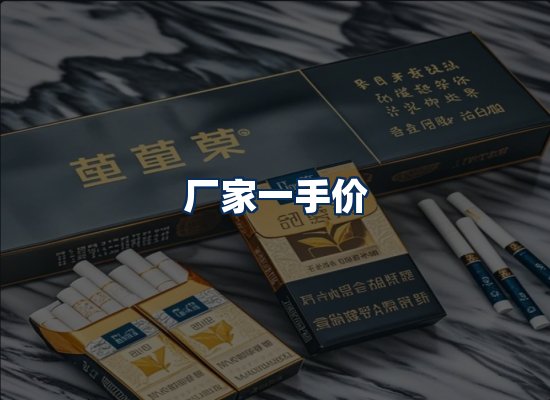 专业团队办公环境